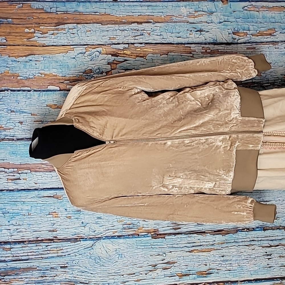 Madewell Velvet Bomber Jacket - Picture 3 of 9